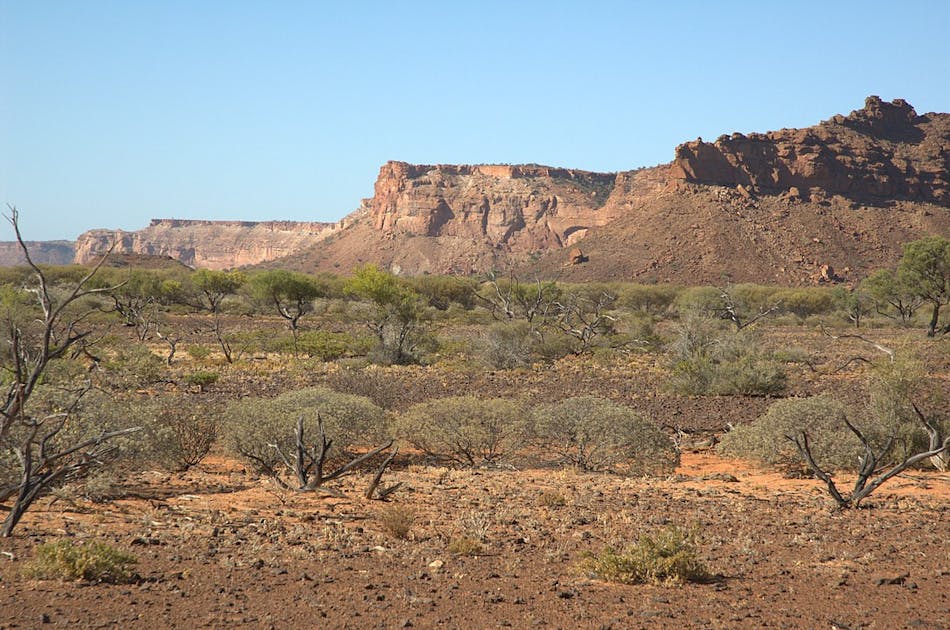 West Australian Dry Coastal Shrublands (AU6) One Earth